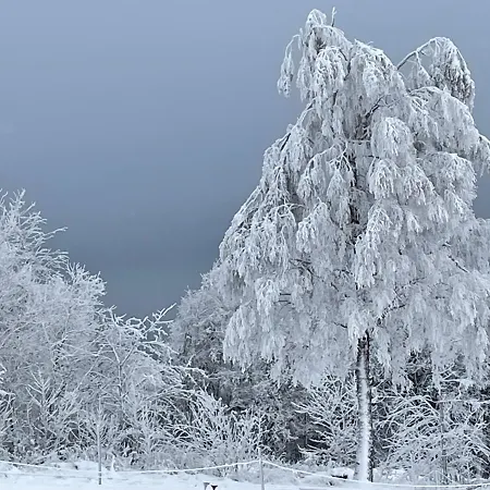 Apartmán Pistenraeuber