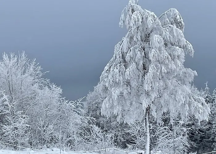 Lejlighed Pistenraeuber